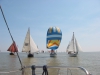 63 Borkum race